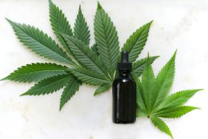 le cbd douleur : des solutions naturelles pour soulager