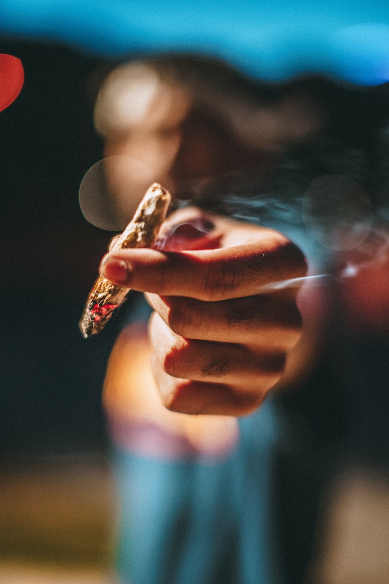fumer de la weed cbd : tout ce que vous devez savoir