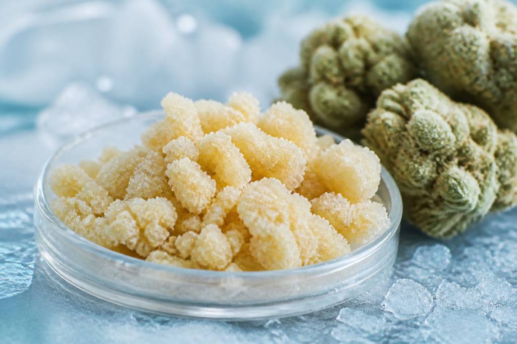 Ice o lator : tout savoir sur ce concentré de cannabis