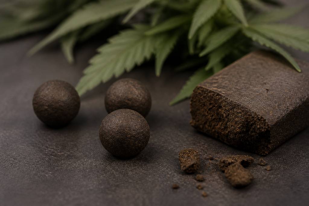 Temple ball : origine, fabrication, effets et législation du hash cbd en Belgique